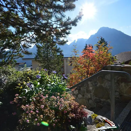 Gentiana C7 * Arosa
